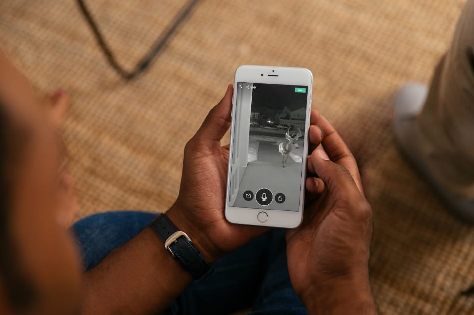 Grain Valley MO security system